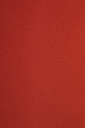 Cuscino Poly180 Rosso Arancio Steamer