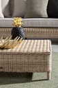 Decorazione Ananas Surabaya Nero H49,5
