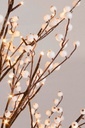2x Albero Glow H120-72Led Ip20