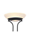 Piantana Led con Luce Spot da Lettura Orson Nero Trio Lighting