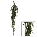 Ramo cactus pendente cm10,2x10,2h76,2