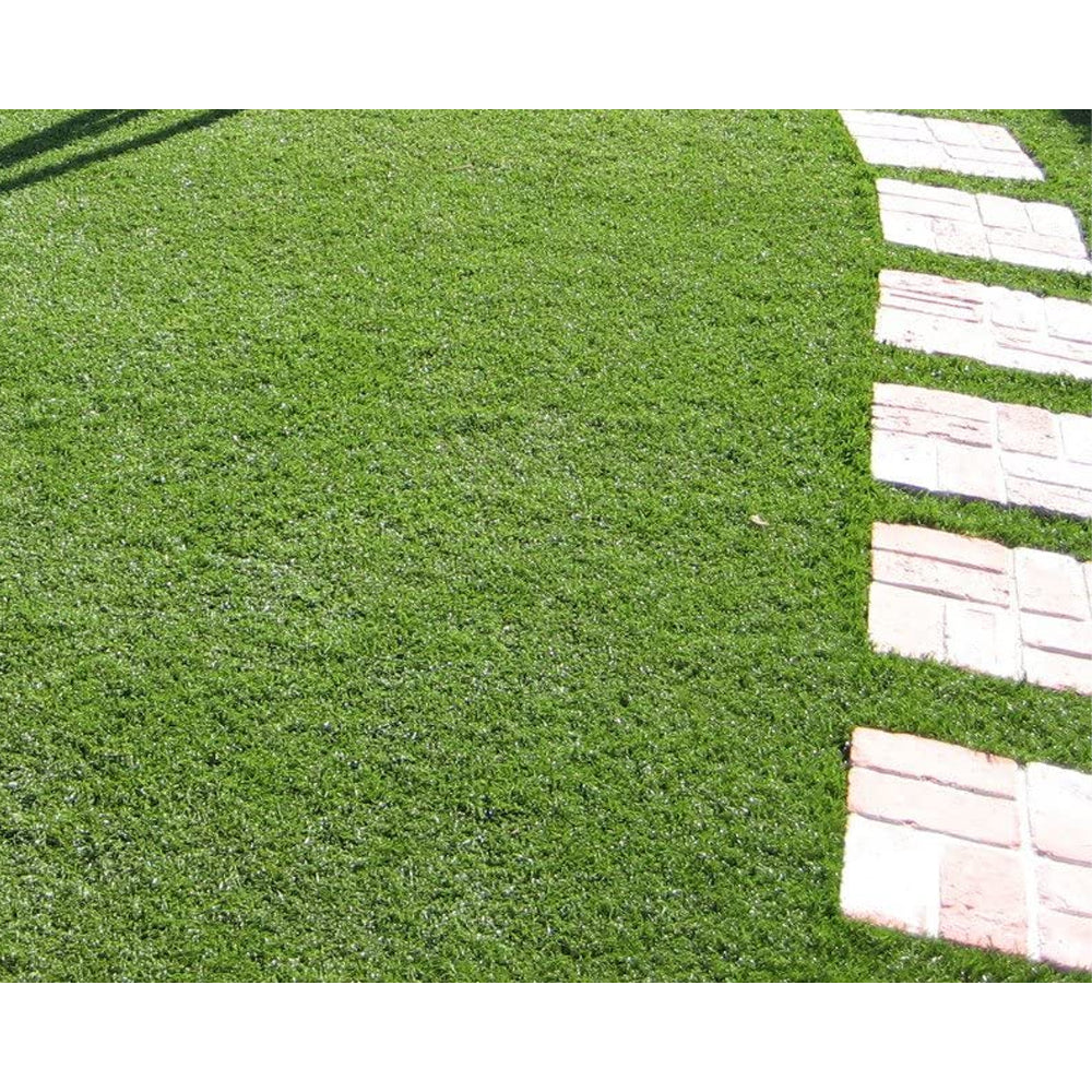 Tappeto Erba Finto Artificiale 25 MM 2x10 MT