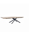 Tavolo Allungabile 200-300 x 100 cm - Spike 