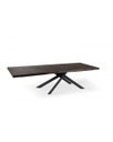 Tavolo Allungabile 200-300 x 100 cm - Spike  