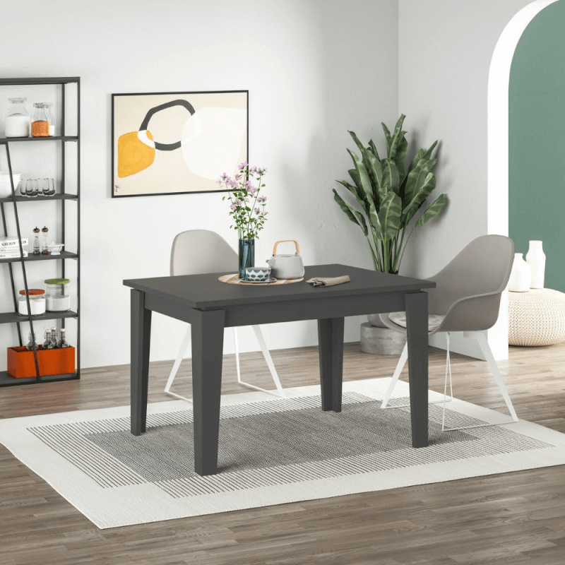 Tavolo allungabile Megaron antracite 120x80 cm EFFEZ