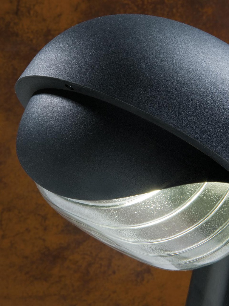 Testa-palo in termoplastico con diffusore in vetro stampato - Dimensioni: 60mm x 155mm - Alimentazione 230V - Potenza massima 60W nero