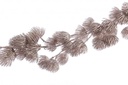 3x Boa Angelique Champagne H200