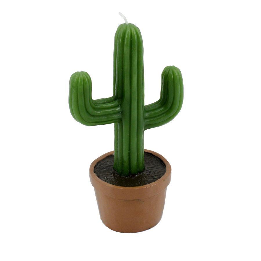Candela cactus con vaso cm 11