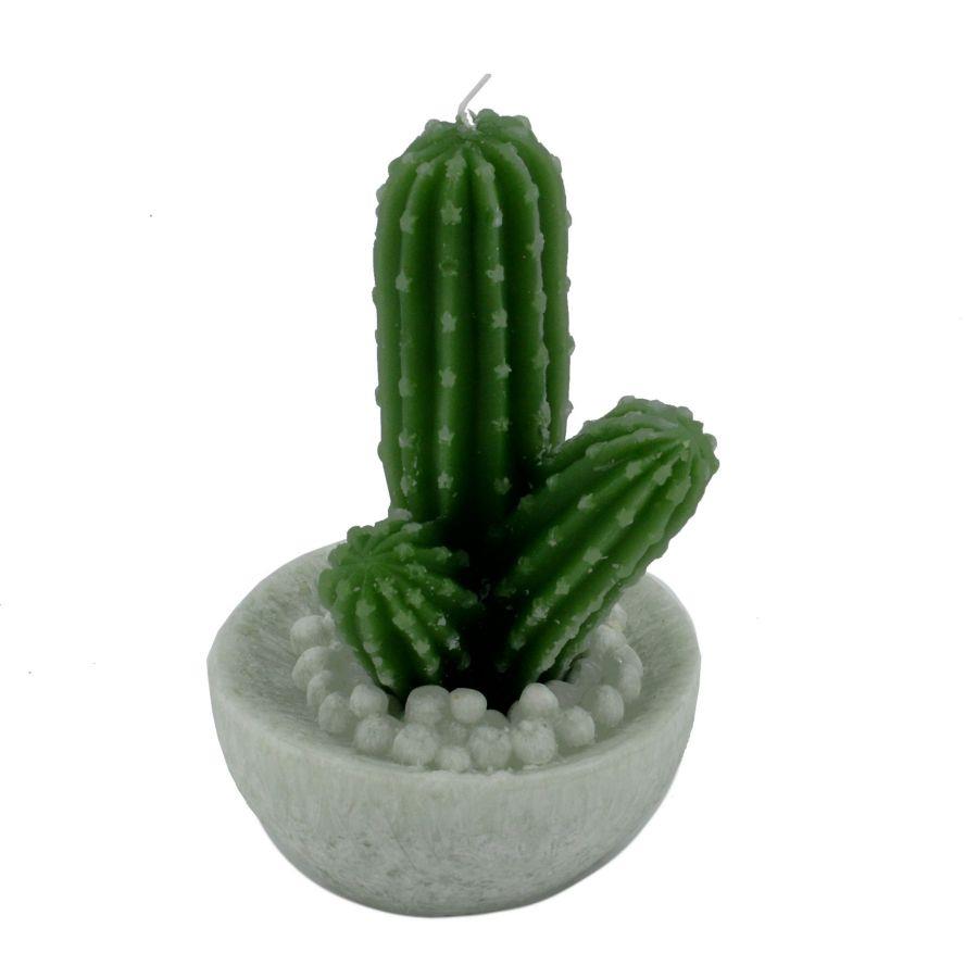 Candela cactus verde tondo cmø10
