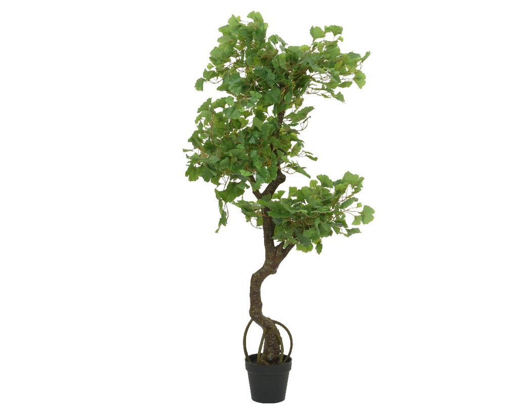Gingko pianta in plastica con vaso 82x60x150h cm