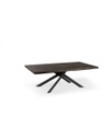Tavolo Allungabile 200-300 x 100 cm - Spike