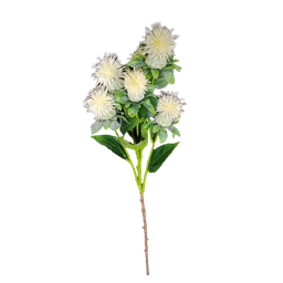 [19909614] Cartamo 79 cm bianco