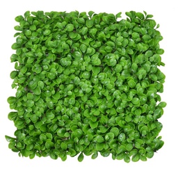 [2000790] Pannello peperomia cm50x50h0,5