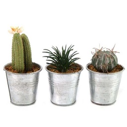 [19911512] Pianta Artificiale Di Cactus In Vaso Leia