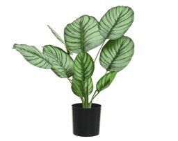 [20041781] Pianta Calathea in poliestere con vaso D44x31h cm