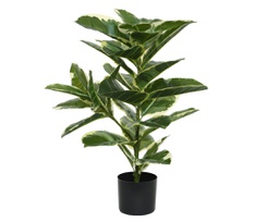 [20041774] Pianta Ficus in plastica con vaso 61x61x76h cm