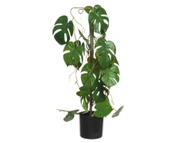 [20041783] Pianta Monstera in poliestere con vaso 31x20x63,5h cm