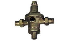 [DFLEX-354-188-05] Riduttore Di Pressione C/Bocchettoni M. Pn 40 C/Camera Di Compens.