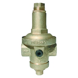 [DFL205570] Riduttore Di Pressione Ff - Pn 40 - 1/2