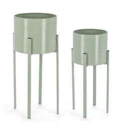 [B0741486] Set2 P.Fiore Ester To Verde Salvia