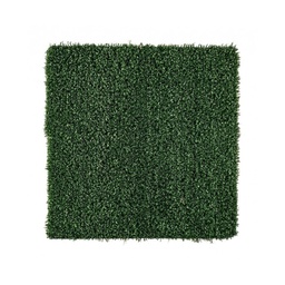 [B0780454] Tappeto di erba sintetica Victoria 300x100cm x h10mm