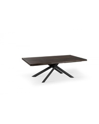 [OM/378/RT] Tavolo Allungabile 200-300 x 100 cm - Spike