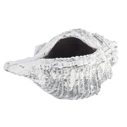[B0780275] Vaso Conchiglia Magnesia 68x38 cm