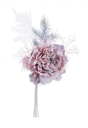 [B0939411] 10x Pick Peonia Ginny Cipria Innevato