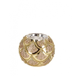 [B0970577] 12x P.Candela Vt Winslows Oro D80